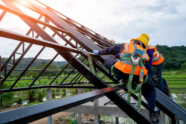 Best Roof Gutter Cleaning  in Heritage Lake, IL