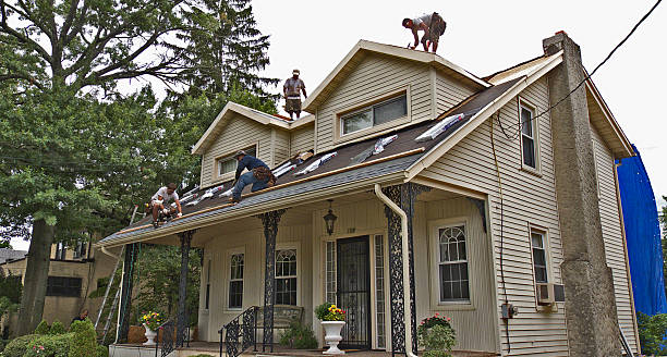 Roof Gutter Cleaning in Heritage Lake, IL