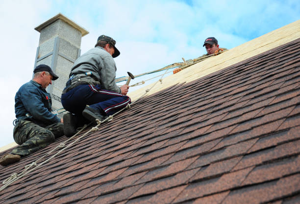 Best Roof Waterproofing Services  in Heritage Lake, IL
